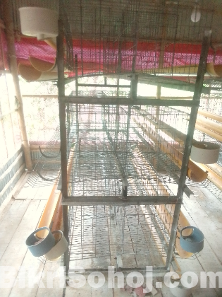 লেয়ার মুরগির ডিম পাড়া খাঁচা।